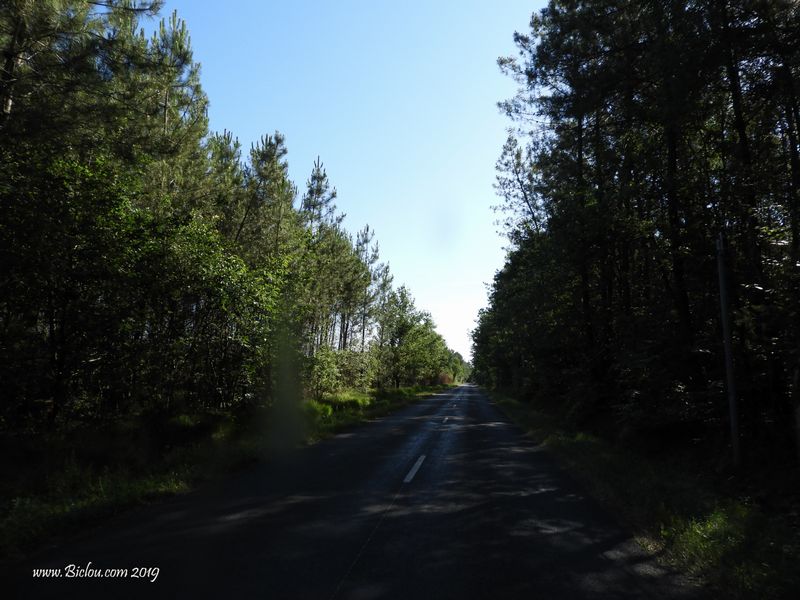 Routes de Touraine assez ombragées