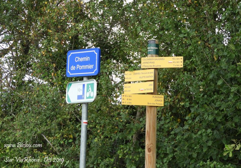 Et .. tout à coup sorti de nulle part .. le Balisage ViaRhôna apparait