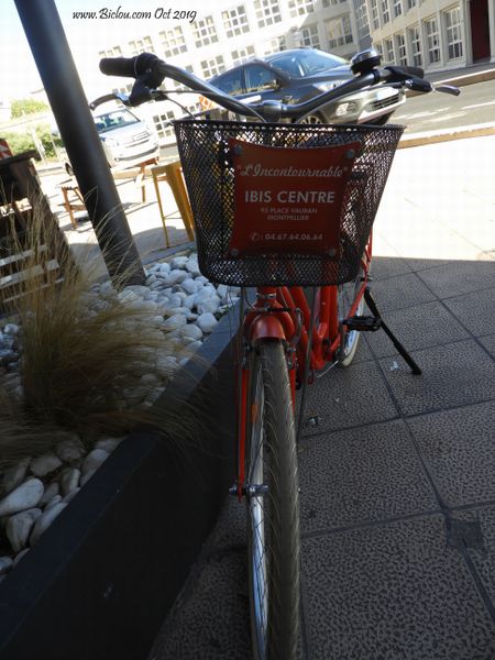 Ibis se met au vélo