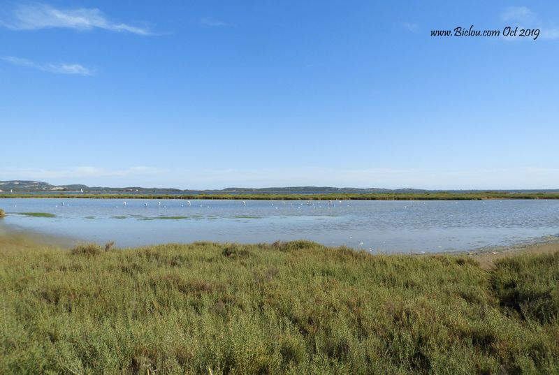 Côte sauvage du côté de Narbonne Gruissan
