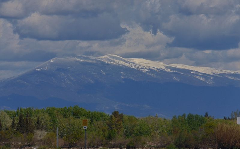 Le Mont Ventoux, vu des berges du Rhône