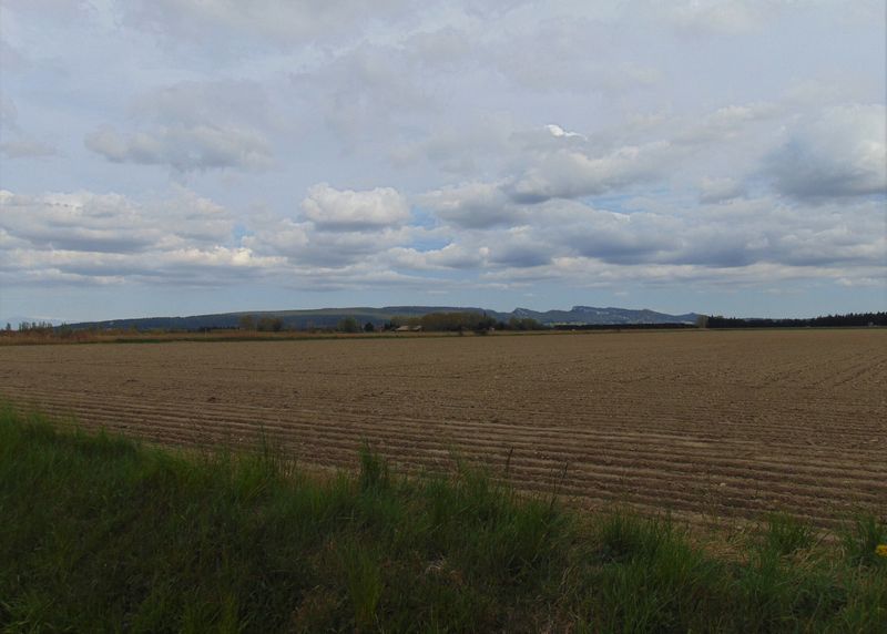 vue sur les Alpilles