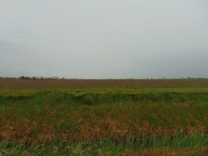Ici c'est ; vent , pluie et solitude : Le pélerin fasse à son destin ..