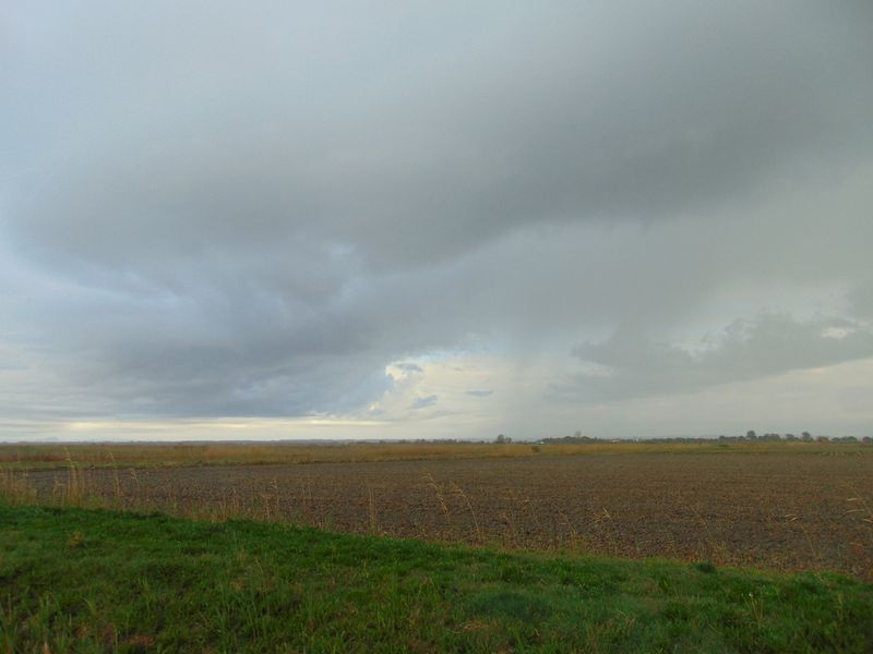 Orage oh désespoir ..