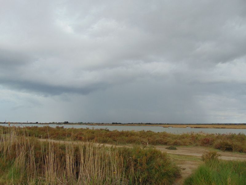 Le canal de Aigues Morte au Grau du Roi