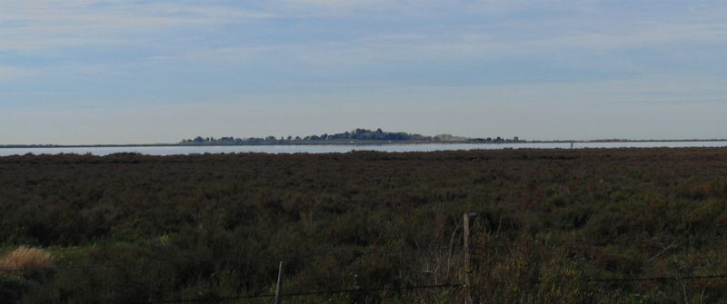 Maguelone