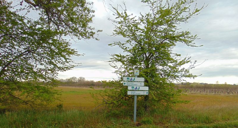 Toujours le balisage Eurovélo huit