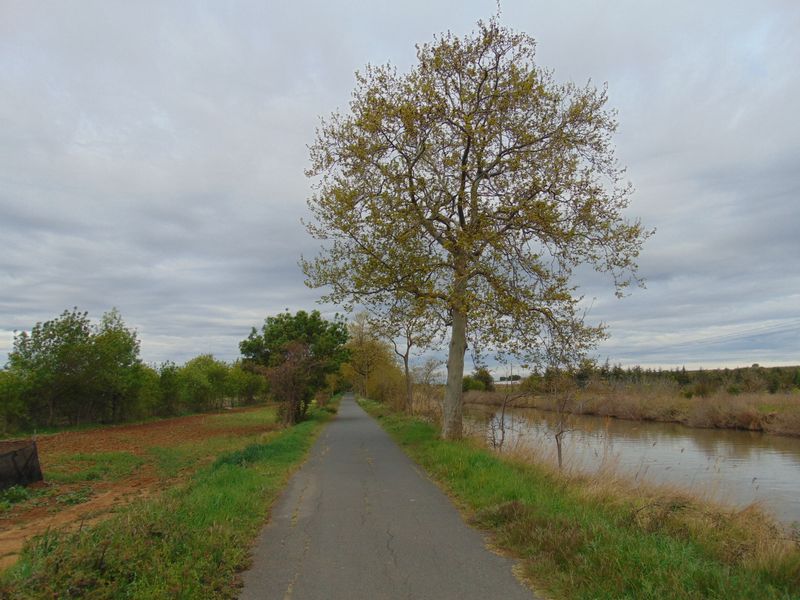 Le long du canal du Midi en 2019