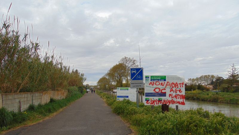 Non à l'abattage des platanes ..
