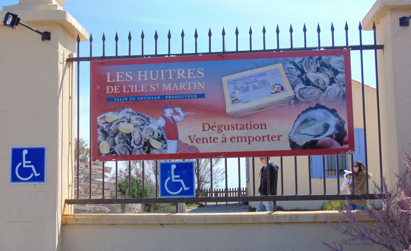 Les huitres de l'ile st martin