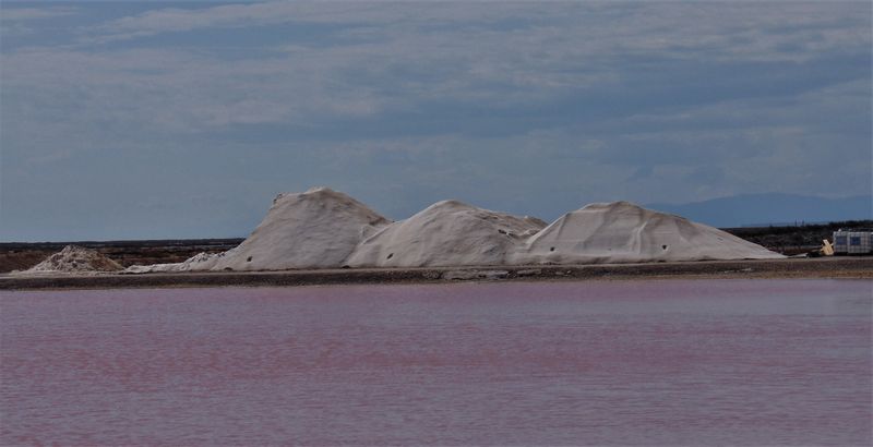Les Salines de Gruissan