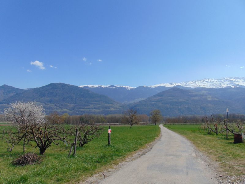 Le massif de Belledonne, vu de la plaine du Grésivaudan 