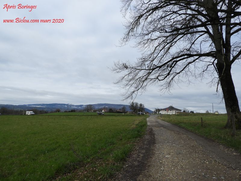 Après Boringes