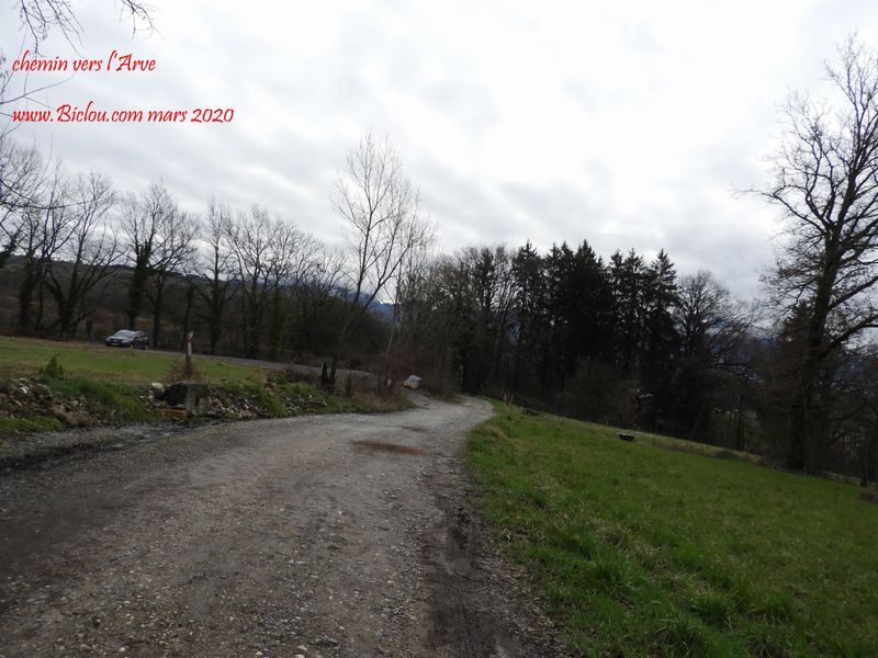 Chemin vers l'Arve