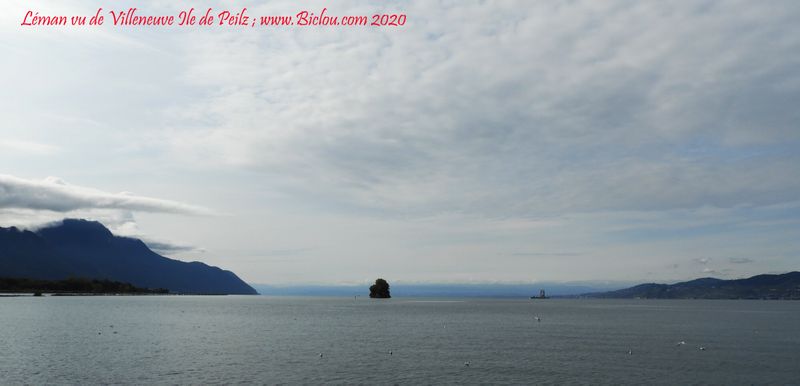 Léman vue de Villeneuve et Ile de Peilz