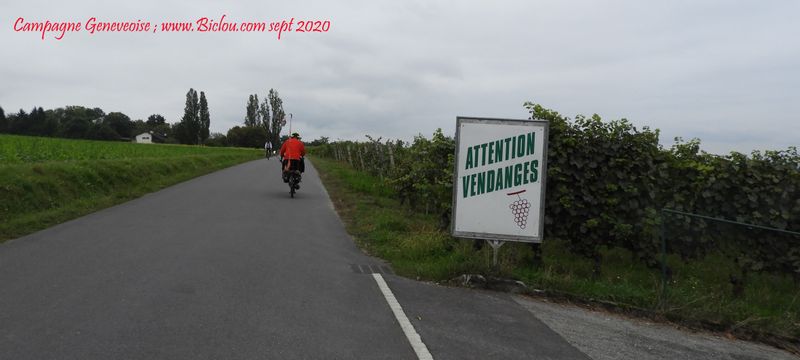 Jolie campagne Genevoise