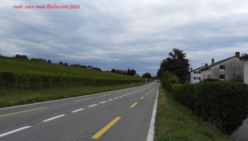 Route Suisse N1 ; équipée de vagues bandelettes cyclables, du côté de Rolle ..