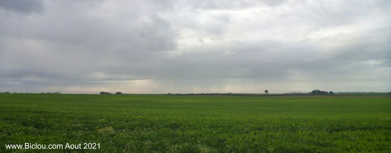 Plaines de l'Oise