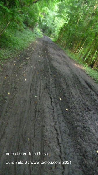 Guise : Eurovélo-3 passage très très boueux en foret , et encore nous fumes en été .. La Honte !