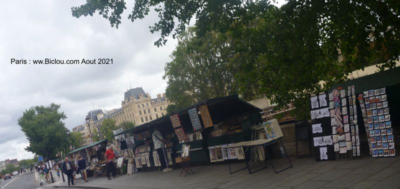 Les fameux bouquinistes à Paris