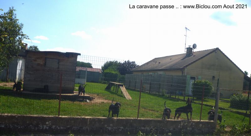 La caravane passe ..
