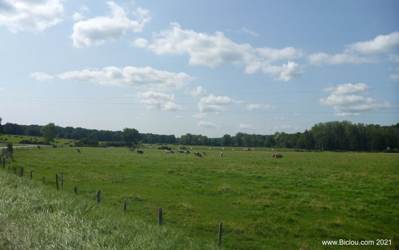 De la belle campagne verte