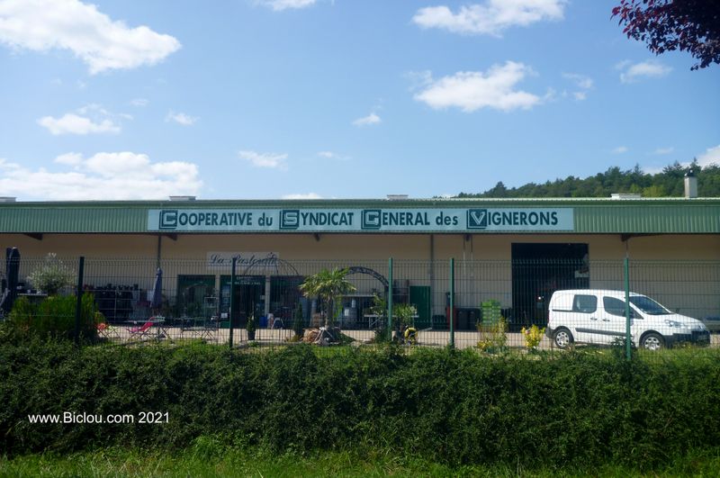 Cave ccopérative des Vignerons de : Les Riceys