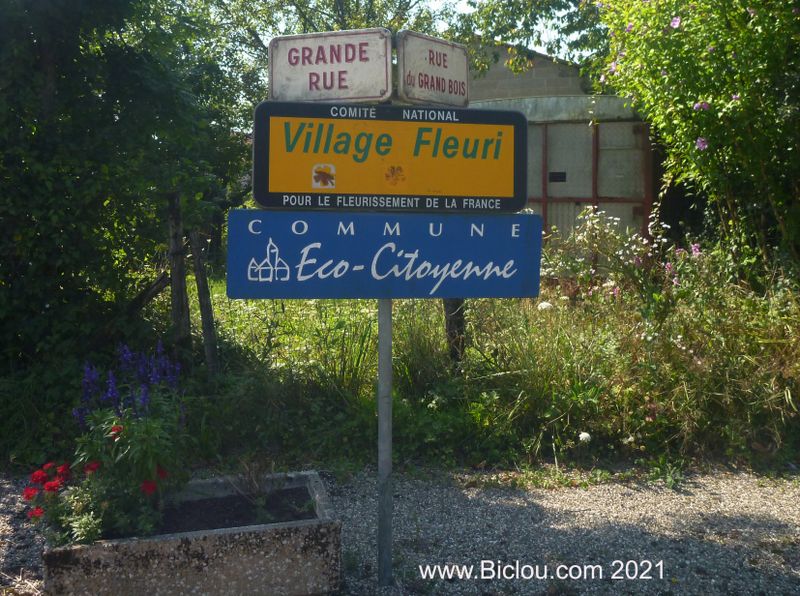 Eco-Citoyenne