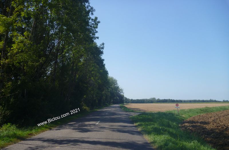 Bresse