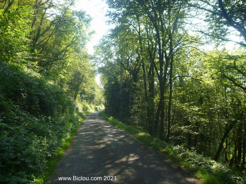 Passage en forêt avant Arinthod