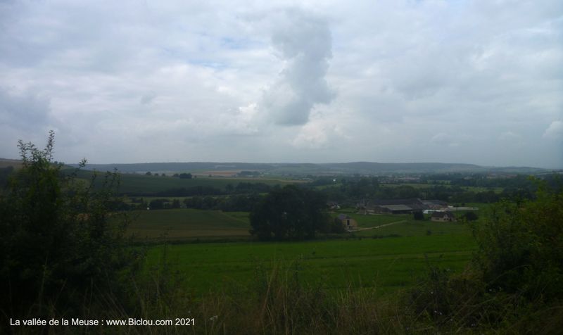 Vallée de Meuse (peu avant Mouzon)