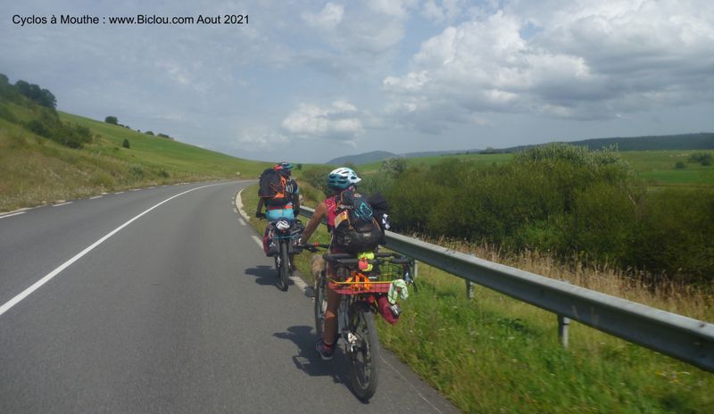 Cyclos à chiens sur la route