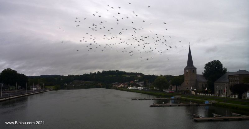 Et soudain j'ai vu .. passer les oies sauvages au dessus de La Meuse à Givet