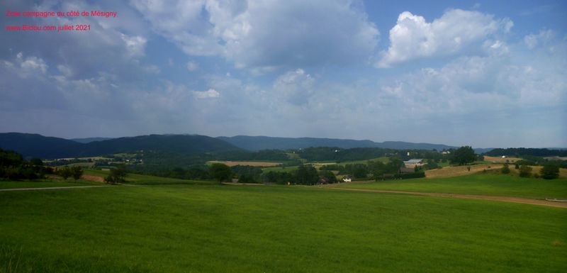 Encore de la belle campagne dans l'avant pays genevois (Mannecy , Haute-Savoie)