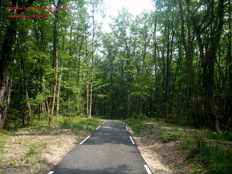 La voie verte des Bois de Vesogne sur ViaRhôna (V62) (Valleiry)
