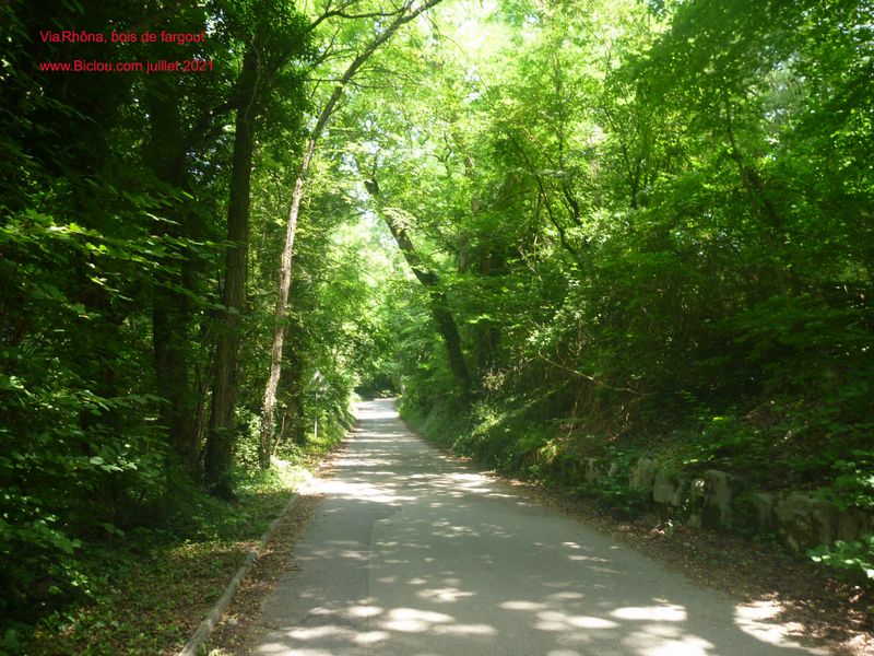 Descente vers le Rhône depuis le bois de Fargout