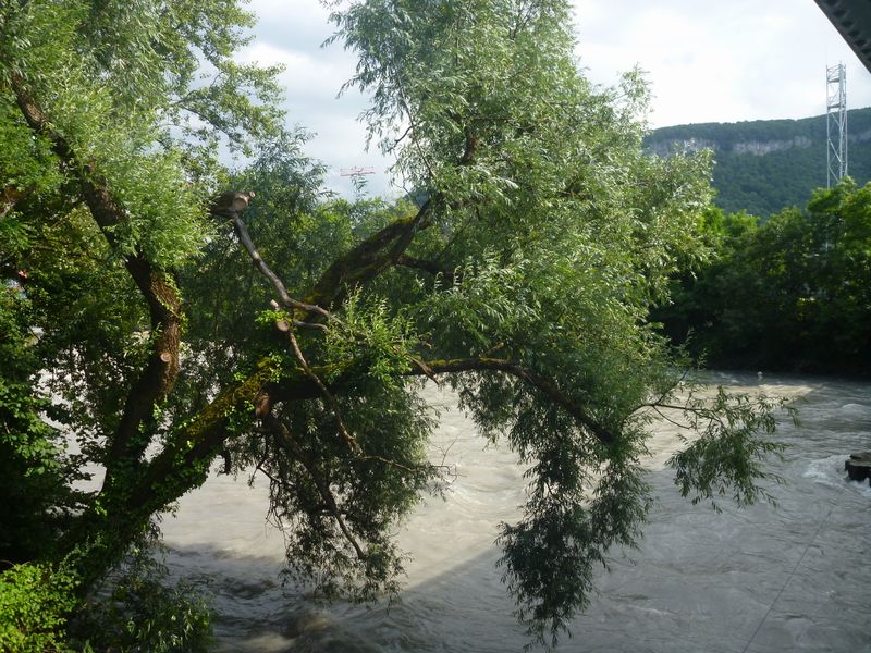 L'Arve charrie ..