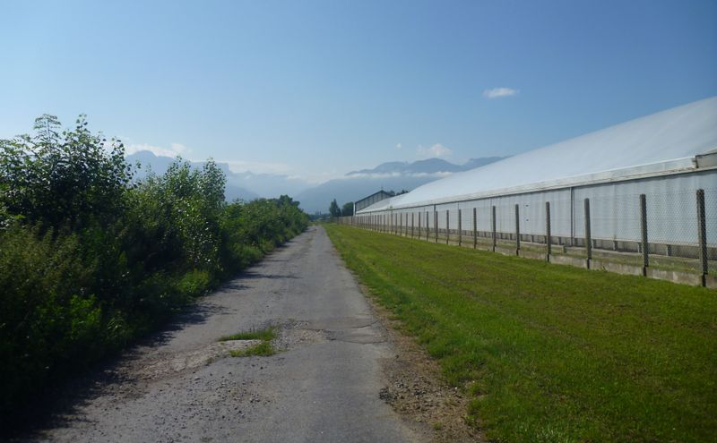 Au niveau de Scientrier (décheterie) , le long de l'autoroute, chemin gravel : Sempre dritto ..