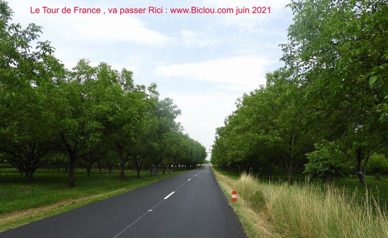 Juin 2021 : Le tour de France Y passe dans 15 jours, je vais les faire passer dans ma cour ; du coup ..