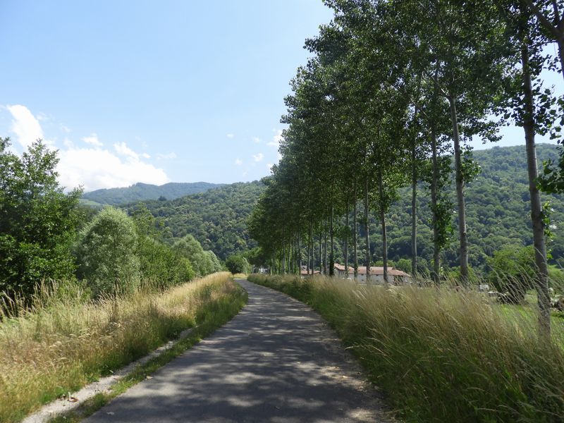 Grenoble ; Belle ombre en direction de Gière et Domène par voie verte Isère