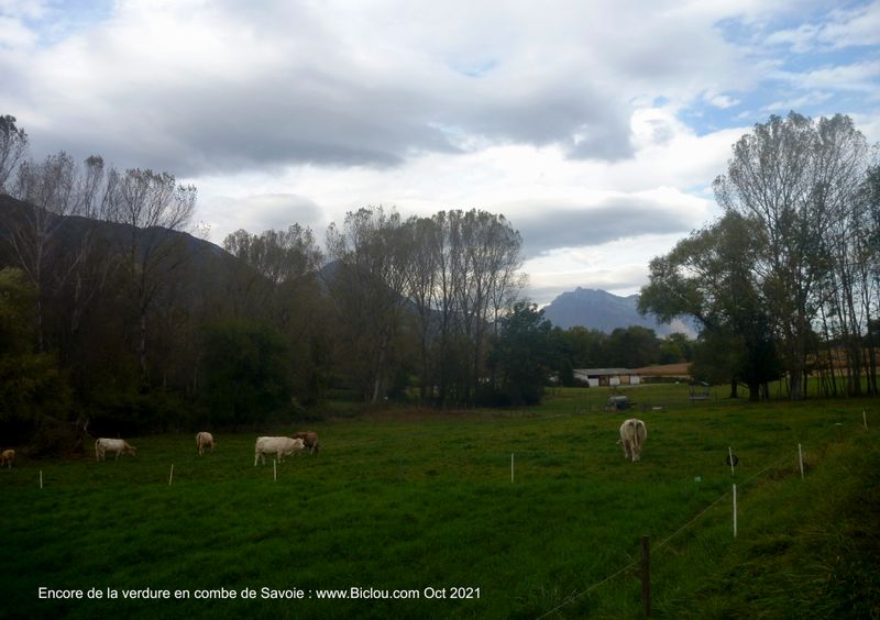 Reste encore un peu de verdure en Combe de Savoie