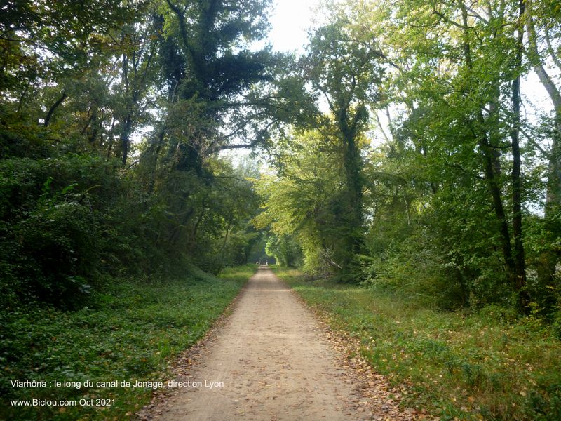 Cheminement long canal de Jonage