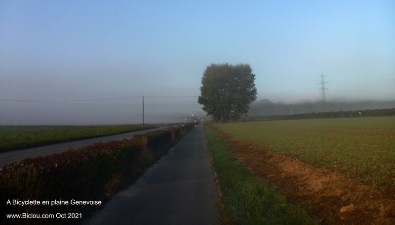 On the road again, en plaine genevoise, du côté de Perly