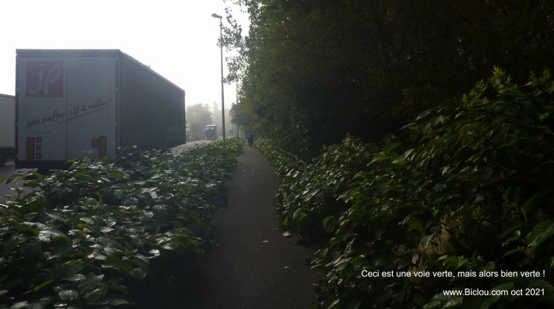 Sur ViaRhôna ; Ceci est une voie verte, mais alors bien verte ..