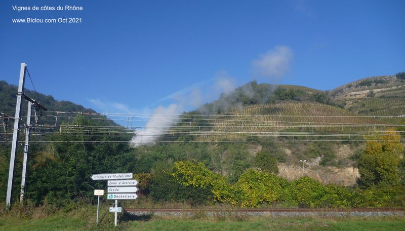 Vignes à Ampuis