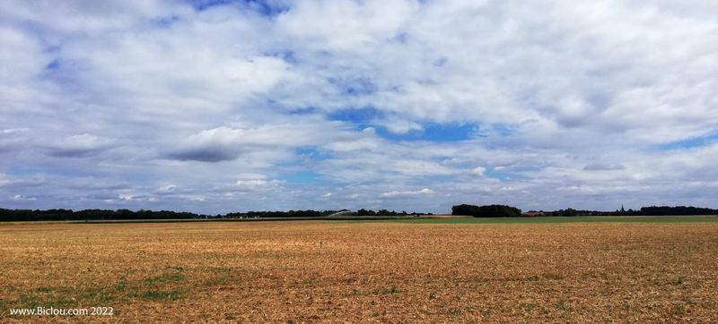 La plaine céréalière (Gâtinais)