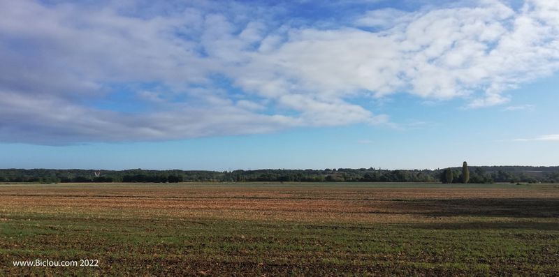 Les plaines du Loiret