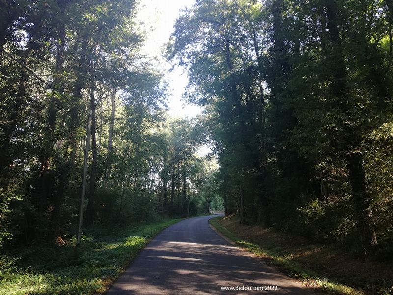 Suite à une gourance : On s'égare un peu dans de jolis sous bois ..