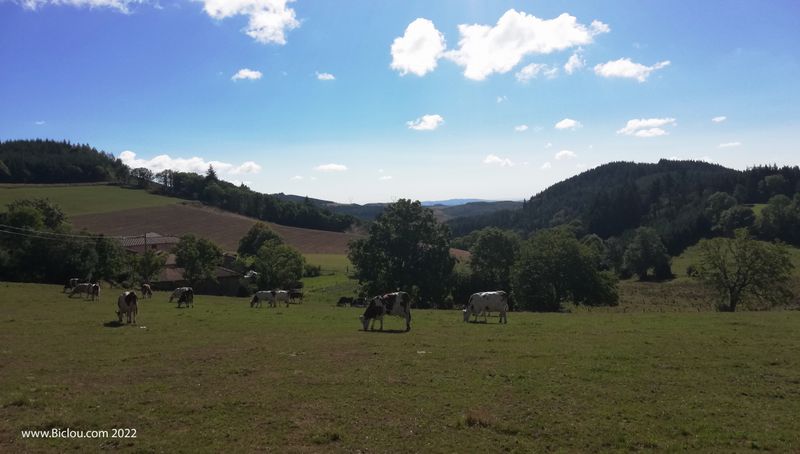 Monts du Beaujolais vert (au Nord de Tarare)