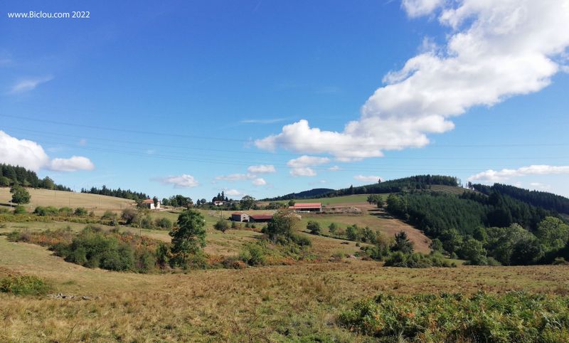 Monts du Beaujolais vert